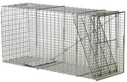 Rental store for LIVE TRAP LARGE in Plymouth MN