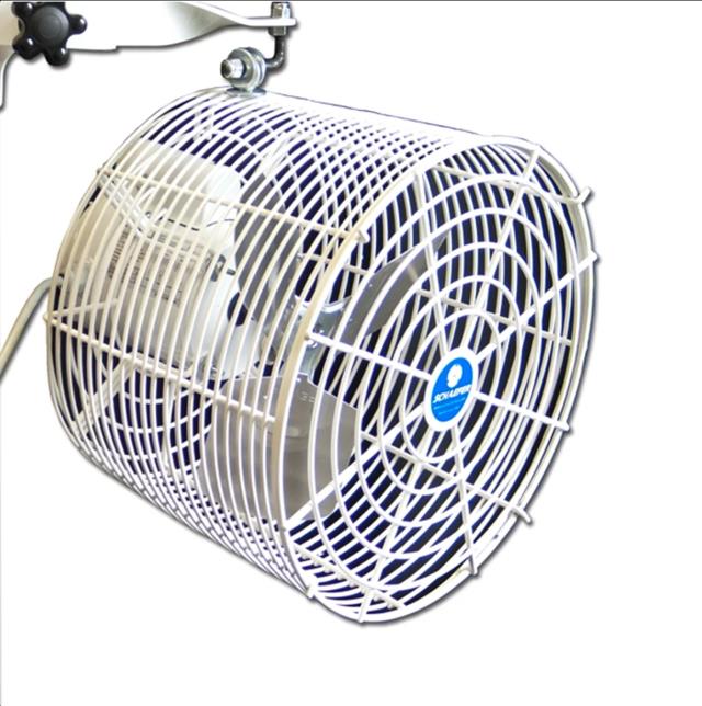 Rental store for FAN, CANOPY 12 in Plymouth MN